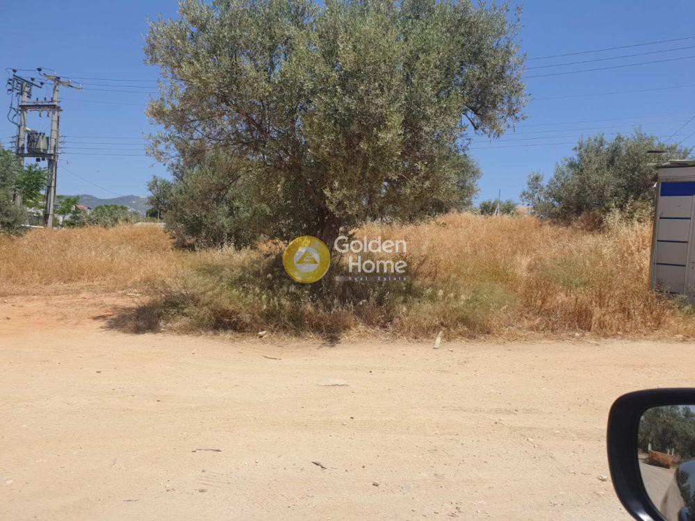 Οικόπεδο 13.000 τ.μ. πρός ενοικίαση, Αθήνα - Βόρεια Προάστια, Μαρούσι