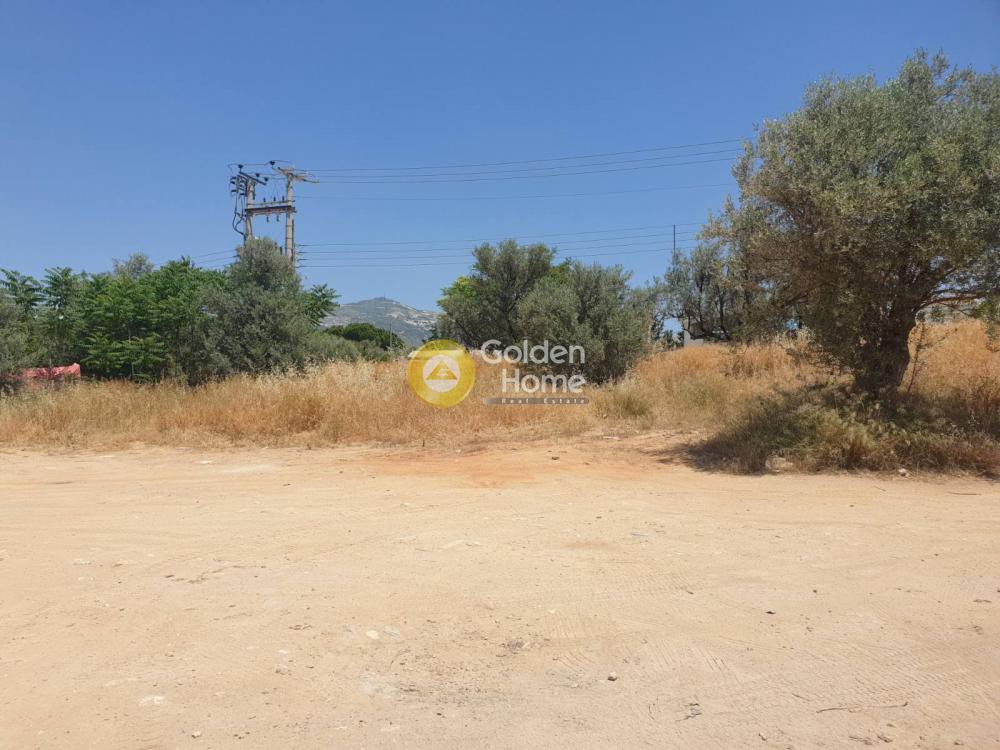 Οικόπεδο 13.000 τ.μ. πρός ενοικίαση, Αθήνα - Βόρεια Προάστια, Μαρούσι