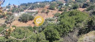 Αγροτεμάχια 6.800 τ.μ. για πώληση