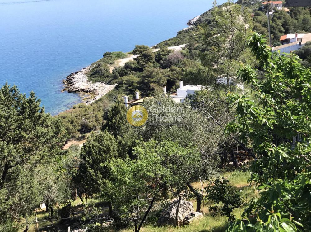 Διαμέρισμα 110 τ.μ. πρός πώληση, Φθιώτιδας, Μαλεσίνα