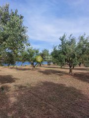 Οικόπεδο 6.000 τ.μ. για πώληση