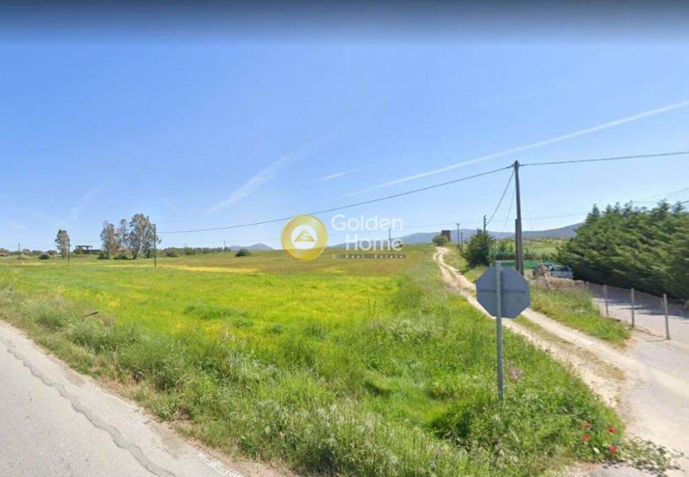Οικόπεδο 10.000 τ.μ. προς πώληση, Αλώνια Κριεζών