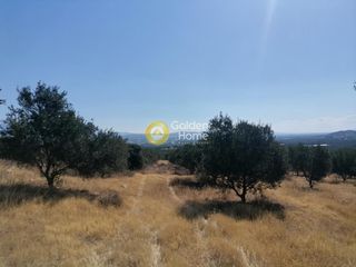 Οικόπεδο 9.000 τ.μ. για πώληση