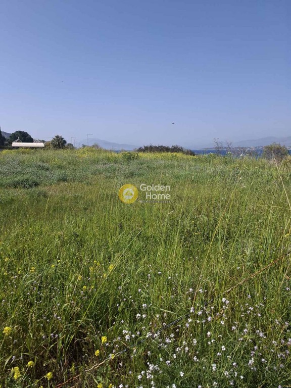 Οικόπεδο 5.303 τ.μ. πρός ενοικίαση, Νησιά Αργοσαρωνικού, Σαλαμίνα