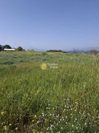 Land plot 5.303 sqm for rent, Argosaronikos Islands, Salamina