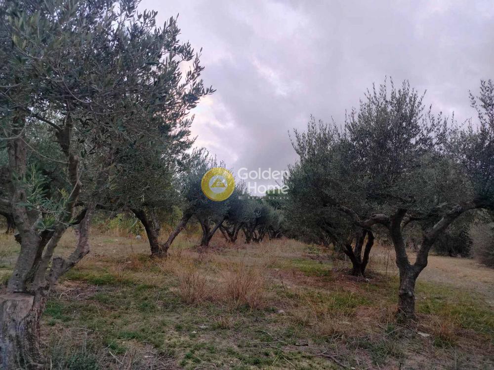 Αγροτεμάχια 580 τ.μ. προς πώληση, Αγία Μαρίνα Ηρακλείου