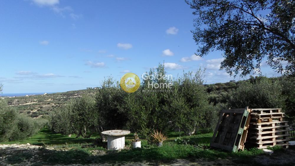 Αγροτεμάχια 2.064 τ.μ. προς πώληση, Σταμνοί