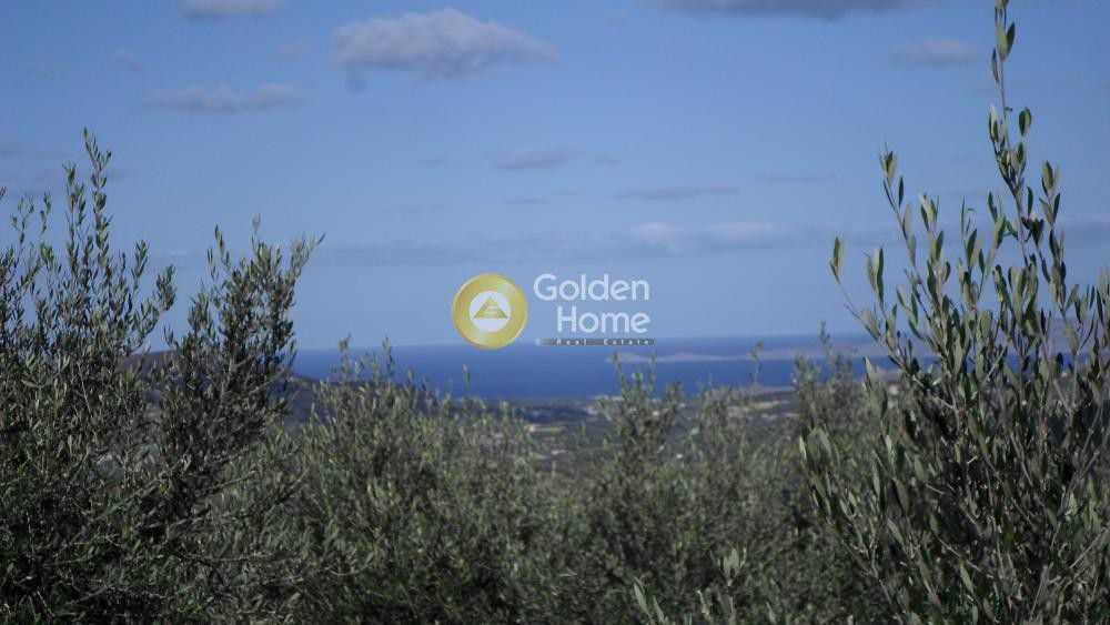 Αγροτεμάχια 2.064 τ.μ. προς πώληση, Σταμνοί