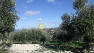 Αγροτεμάχια 2.064 τ.μ. για πώληση