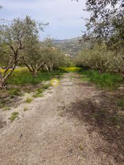 Οικόπεδο 446 τ.μ. για πώληση