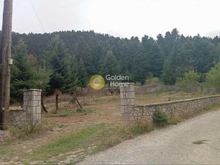 Οικόπεδο 981 τ.μ. για πώληση