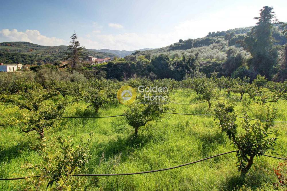 Οικόπεδο 1.233 τ.μ. προς πώληση, Λουτράκι Πλατανιά