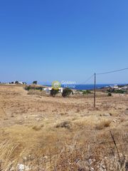 Αγροτεμάχια 14.000 τ.μ. για πώληση