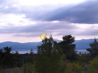 Αγροτεμάχια 6.350 τ.μ. προς πώληση, Πανόραμα Ληλαντίου-thumb-3