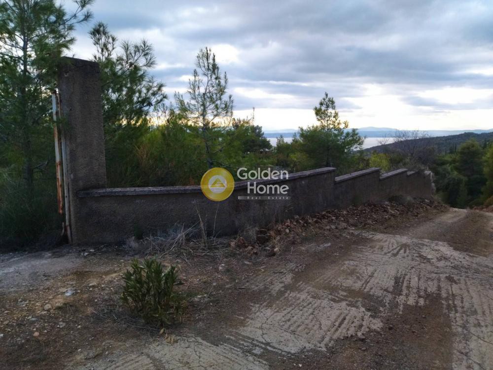 Αγροτεμάχια 6.350 τ.μ. προς πώληση, Πανόραμα Ληλαντίου