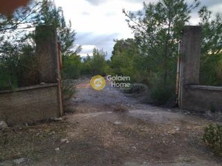 Αγροτεμάχια 6.350 τ.μ. προς πώληση, Πανόραμα Ληλαντίου-thumb-4