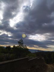 Αγροτεμάχια 6.350 τ.μ. προς πώληση, Πανόραμα Ληλαντίου-thumb-6