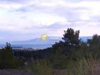 Αγροτεμάχια 6.350 τ.μ. προς πώληση, Πανόραμα Ληλαντίου-thumb-5