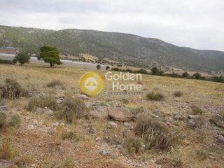 Οικόπεδο 8.248 τ.μ. για πώληση