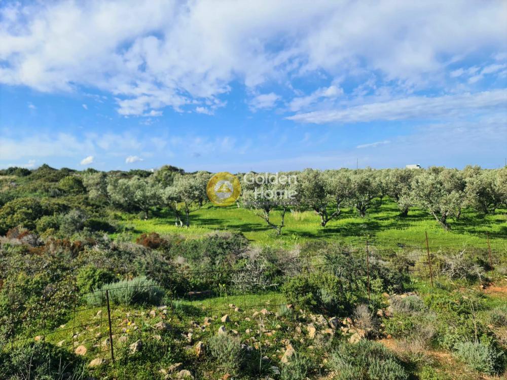Οικόπεδο 40.453 τ.μ. προς πώληση, Σταυρός Ακρωτηρίου
