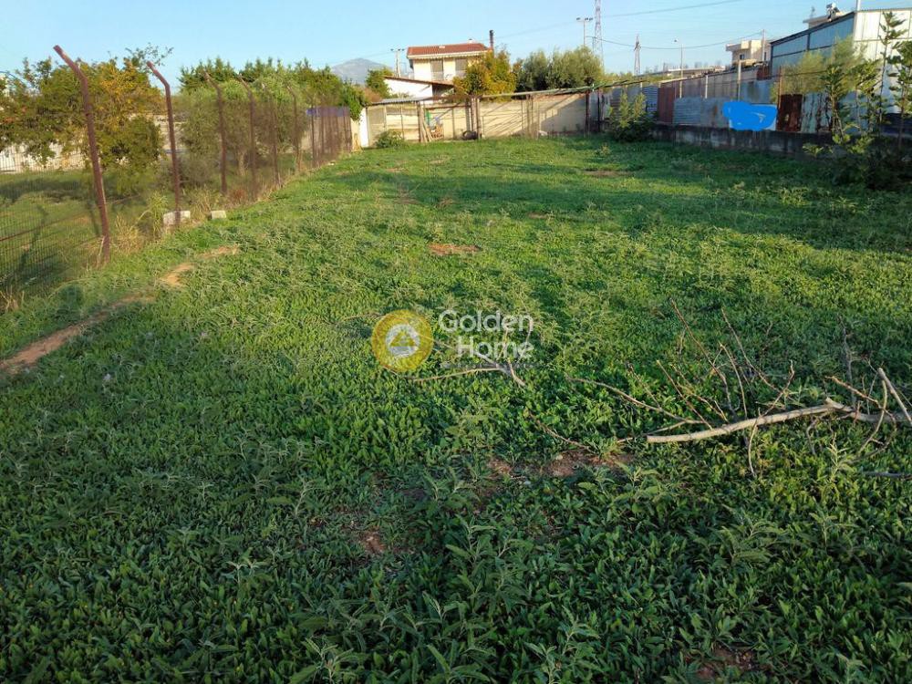 Αγροτεμάχια 743 τ.μ. προς ενοικίαση, Αθήνα - Δυτικά Προάστια, Αχαρνές