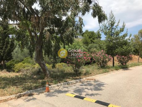 Οικόπεδο 1.500 τ.μ. για πώληση