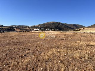 Οικόπεδο 21.300 τ.μ. για πώληση
