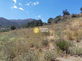 Αγροτεμάχια 6.616 τ.μ. για πώληση