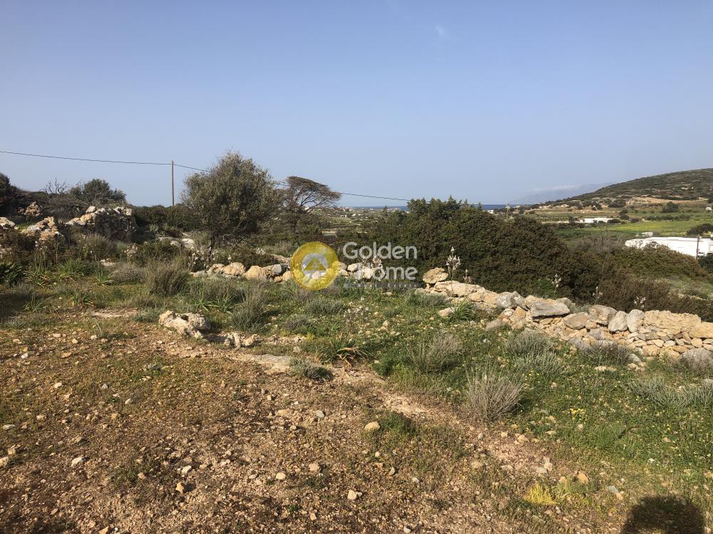 Αγροτεμάχια 8.350 τ.μ. προς πώληση, Ιστέρνι