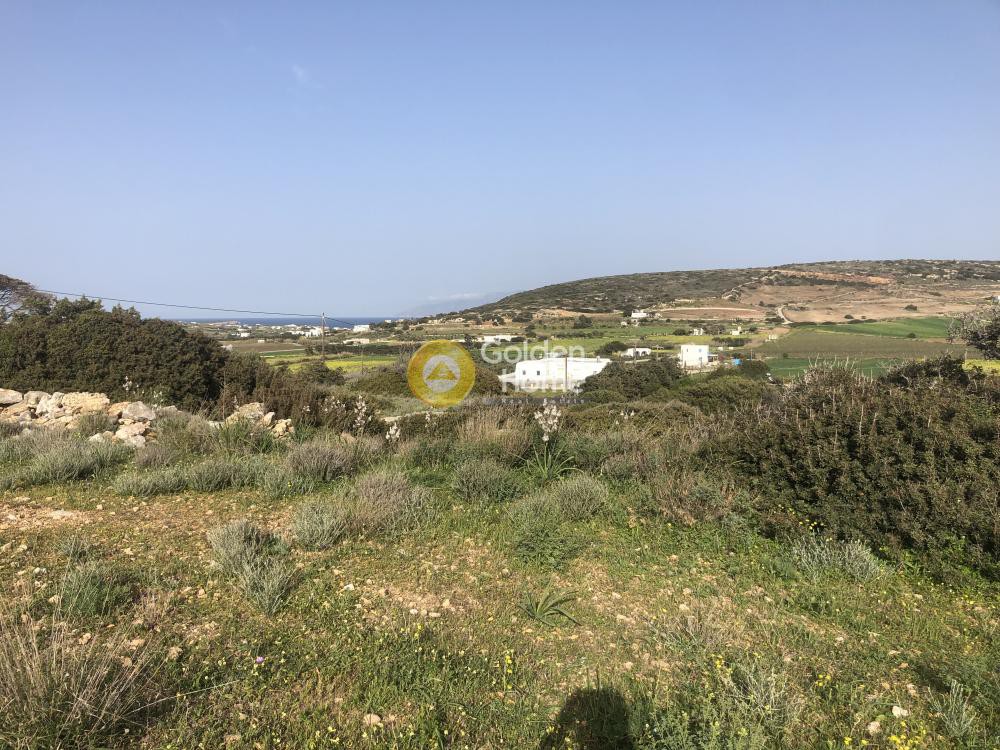 Αγροτεμάχια 8.350 τ.μ. προς πώληση, Ιστέρνι