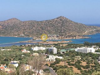 Αγροτεμάχια 7.810 τ.μ. για πώληση