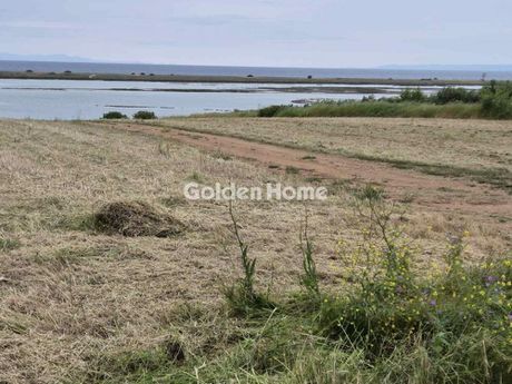 Αγροτεμάχια 7.400τ.μ. για πώληση-Μουδανιά » Βάρκες