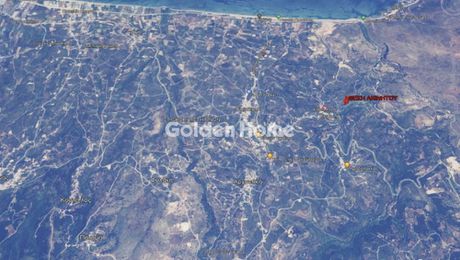 Αγροτεμάχια 8.700 τ.μ. για πώληση