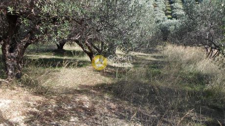 Αγροτεμάχια 1.680 τ.μ. προς πώληση