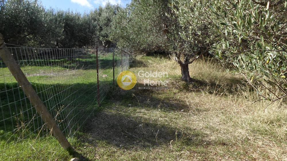 Αγροτεμάχια 1.680 τ.μ. προς πώληση, Φορτέτσα