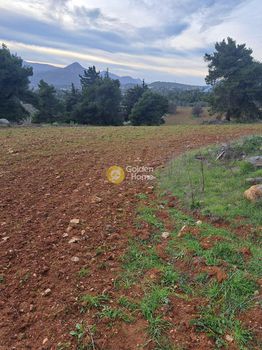 Οικόπεδο 16.700 τ.μ. για πώληση