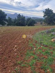 Οικόπεδο 16.700 τ.μ. για πώληση