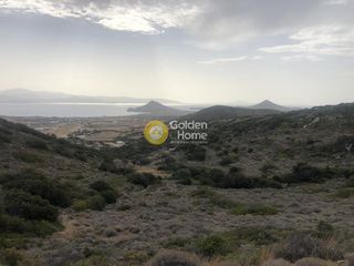 Αγροτεμάχια 43.000 τ.μ. για πώληση