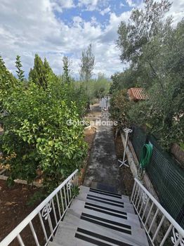 Οικόπεδο 600 τ.μ. προς πώληση