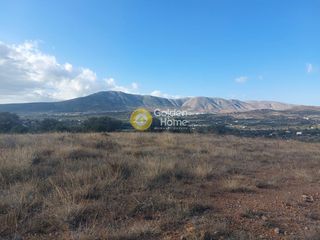 Οικόπεδο 10.052 τ.μ. για πώληση