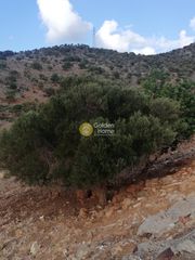 Οικόπεδο 4.465 τ.μ. για πώληση