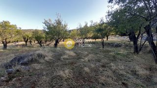 Αγροτεμάχια 427 τ.μ. για πώληση