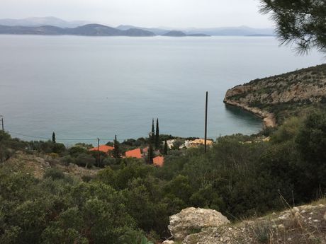 Αγροτεμάχια 2.836 τ.μ. για πώληση