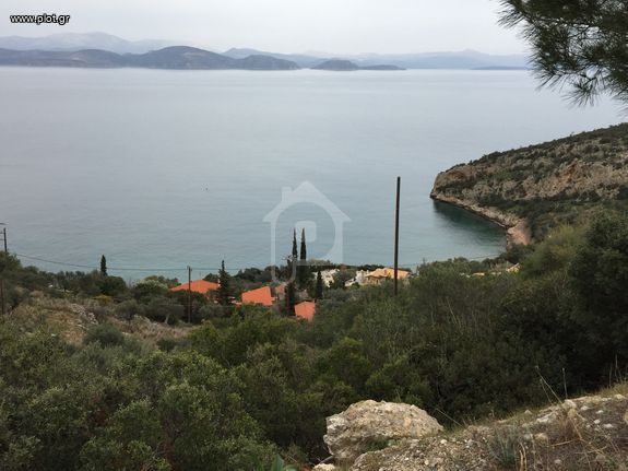 Αγροτεμάχια 2.836 τ.μ. για πώληση, Αρκαδία, Βόρεια Κυνουρία