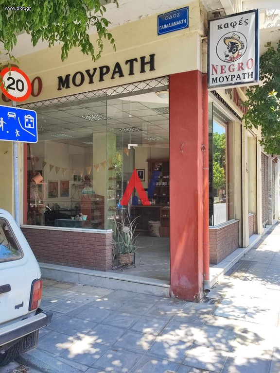 Κατάστημα 110 τ.μ. πρός ενοικίαση, Ν. Λάρισας, Λάρισα