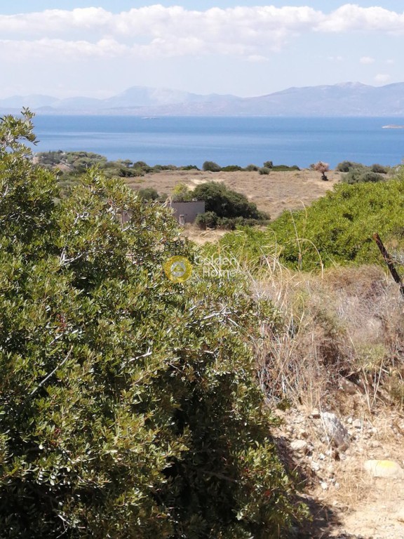 Αγροτεμάχια 9.402 τ.μ. προς πώληση, Κουβέλλες
