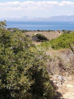 Αγροτεμάχια 9.402 τ.μ. προς πώληση