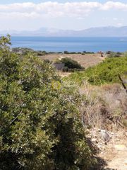 Αγροτεμάχια 9.402 τ.μ. για πώληση