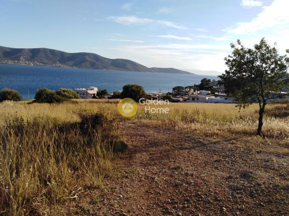 Land plot 20.000 sqm for sale, Argosaronikos Islands, Salamina