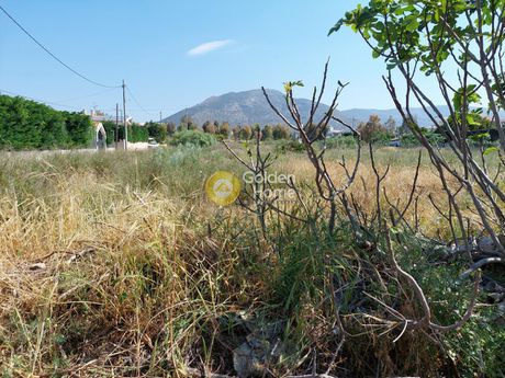 Οικόπεδο 6.800 τ.μ. για πώληση
